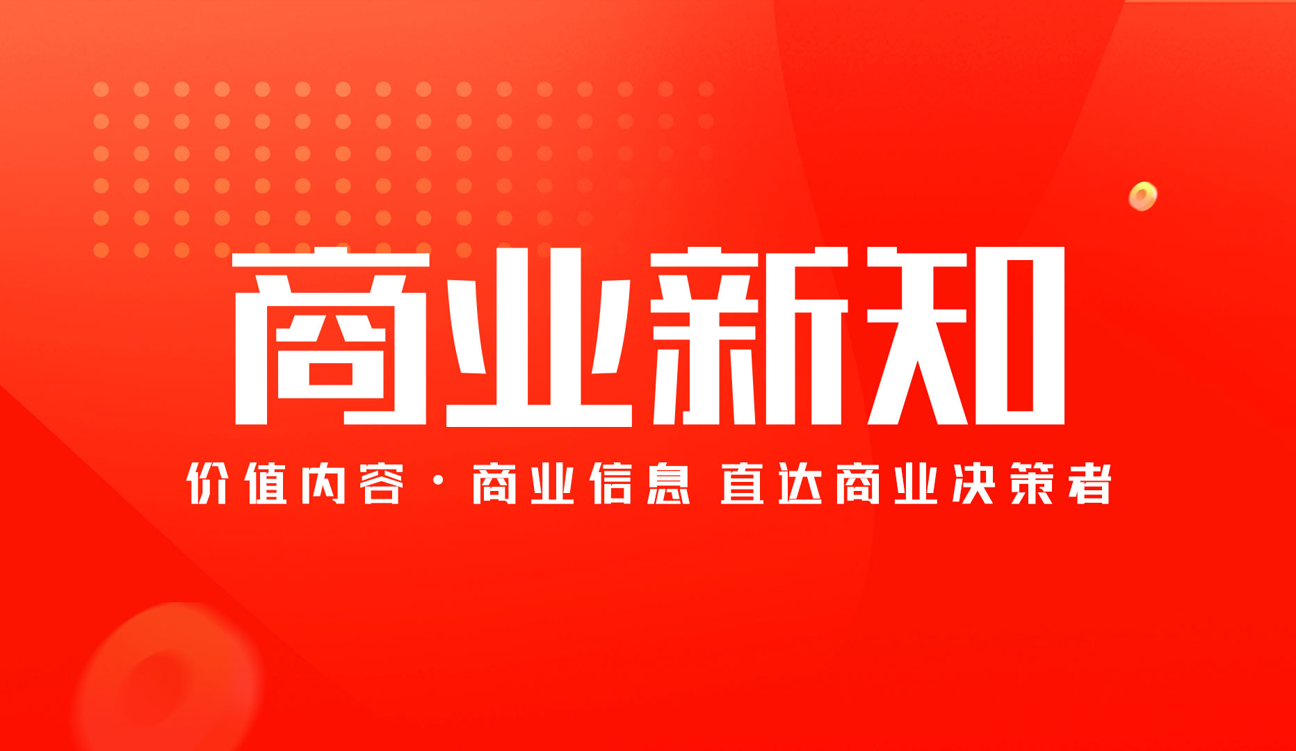 msn, 长兼CEO msn, 长兼CEO