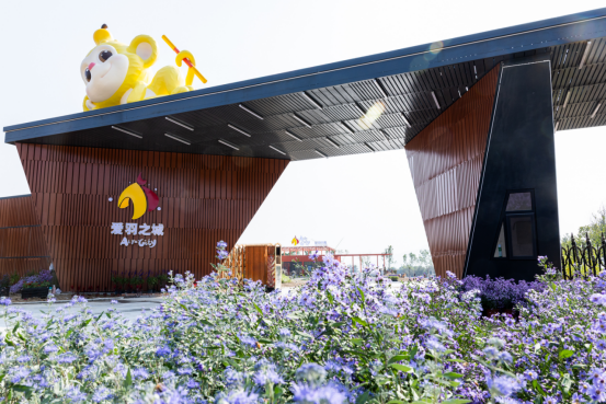 com, 地方挺大的 com, 地方挺大的